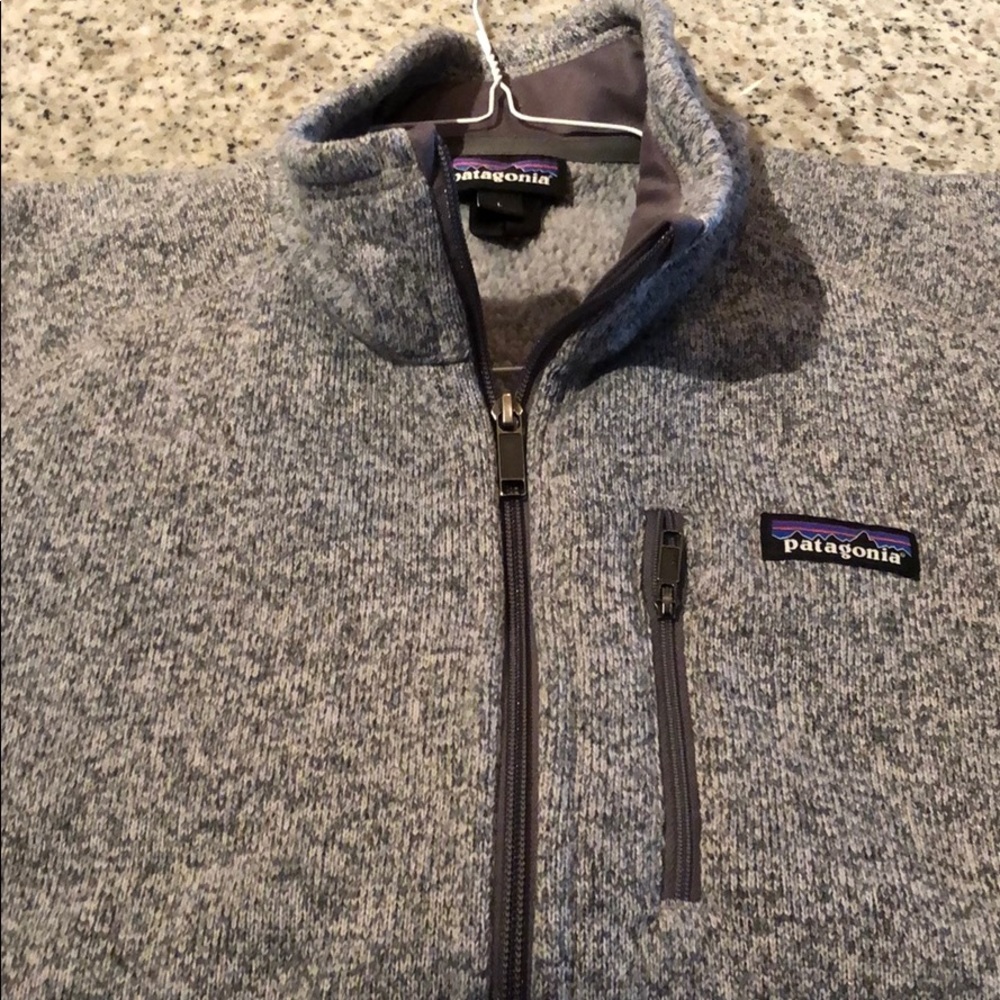 Patagonia - Light/Medium Gray - Vest - ZipUp